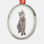 Cute Tabby Cat Metalen Ornament (Links)