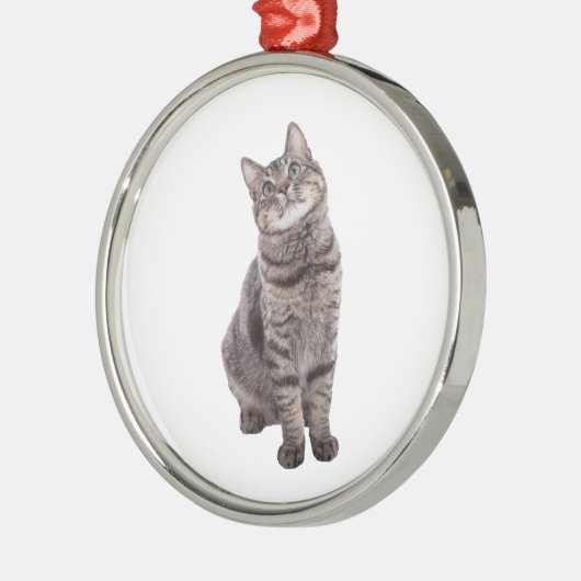 Cute Tabby Cat Metalen Ornament (Links)