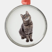 Cute Tabby Cat Metalen Ornament (Voorkant)