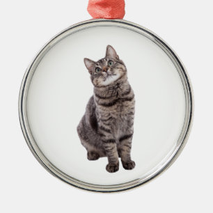 Cute Tabby Cat Metalen Ornament
