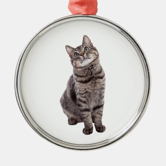 Cute Tabby Cat Metalen Ornament (Voorkant)