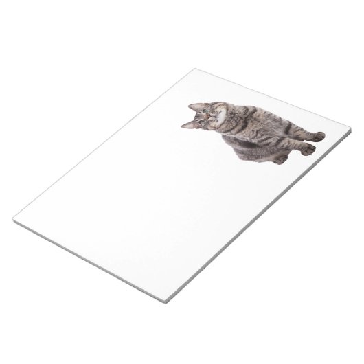 Cute Tabby Cat Notitieblok (Schuin)