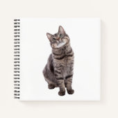 Cute Tabby Cat Notitieboek (Voorkant)