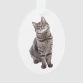 Cute Tabby Cat Ornament (voorkant)