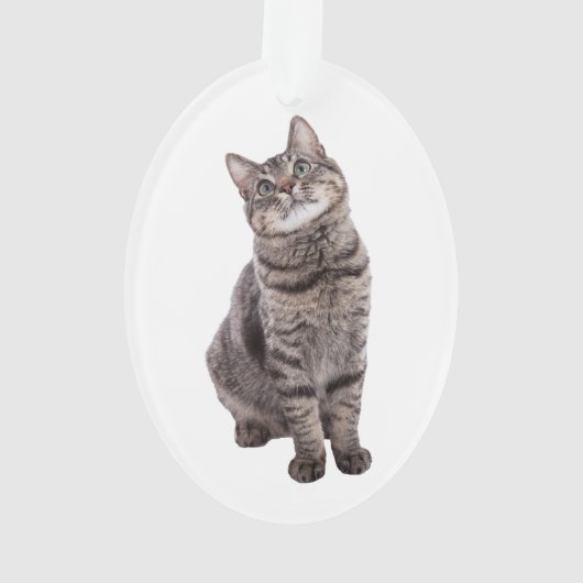 Cute Tabby Cat Ornament (achterkant)