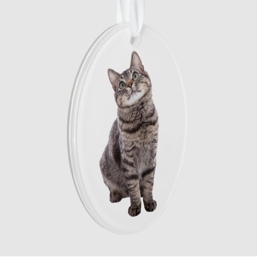 Cute Tabby Cat Ornament (voorkant)