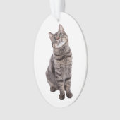 Cute Tabby Cat Ornament (voorkant)