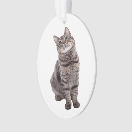 Cute Tabby Cat Ornament (voorkant)