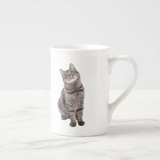 Cute Tabby Cat Porselein Kop