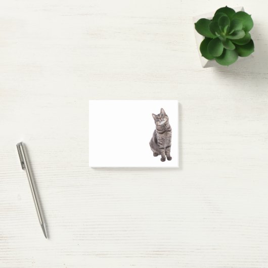 Cute Tabby Cat Post-it® Notes (Kantoor)