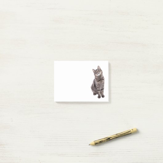 Cute Tabby Cat Post-it® Notes (Op bureau)