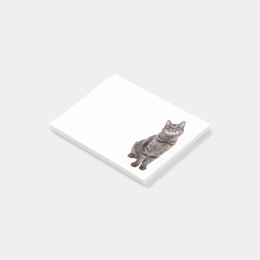 Cute Tabby Cat Post-it® Notes (Schuin)