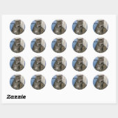 Cute Tabby Cat Ronde Sticker (Vel)