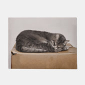 Cute Tabby Cat Slaapstand op doos Deurmat (Voorkant)