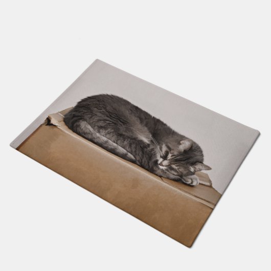 Cute Tabby Cat Slaapstand op doos Deurmat (Schuin)