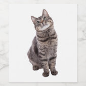 Cute Tabby Cat Wijn Etiket (Enkel label)