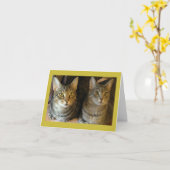 Cute Tabby Cats Happy Birthday Kaart (Gele Bloem)