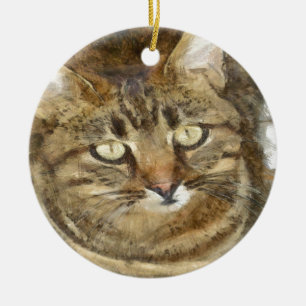 Cute Tabby die op potloodschets kijkt Keramisch Ornament