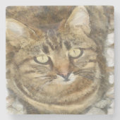 Cute Tabby die op potloodschets kijkt Stenen Onderzetter (Voorkant)