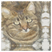 Cute Tabby die op potloodschets kijkt Stof (Close Up)