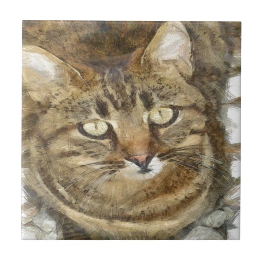 Cute Tabby die op potloodschets kijkt Tegeltje (Voorkant)