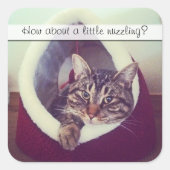 Cute Tabby Kat in Hut Foto Sjabloon Vierkante Sticker (Voorkant)