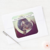 Cute Tabby Kat in Hut Foto Sjabloon Vierkante Sticker (Envelop)