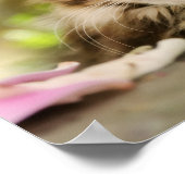 Cute Tabby Maine Coon Cat Kitten Fluffy Head Foto Poster (Hoek)