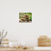 Cute Tabby Maine Coon Cat Kitten Fluffy Head Foto Poster (Keuken)