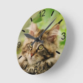 Cute Tabby Maine Coon Cat Kitten Fluffy Head Foto Ronde Klok (Hoek)