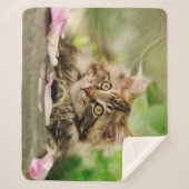 Cute Tabby Maine Coon Cat Kitten Fluffy Head Foto Sherpa Deken (Voorkant)