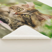 Cute Tabby Maine Coon Cat Kitten Fluffy Head Foto Sherpa Deken (3/4)