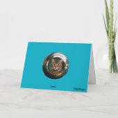 Cute Tabby's Gambit Wenskaart Aankondiging (Achterkant)