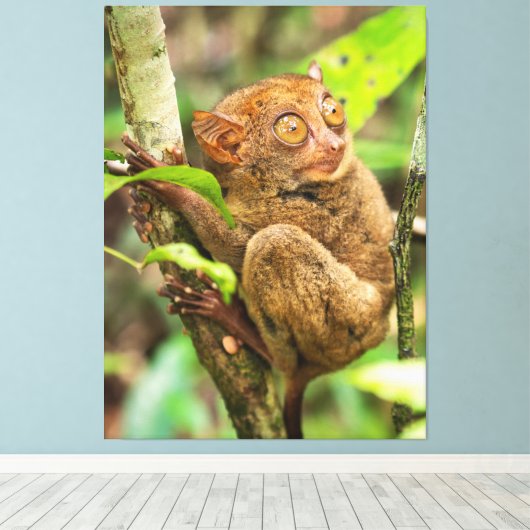 Cute Tarsier Monkey Wildlife Canvas Afdruk (Insitu (Houten vloer))