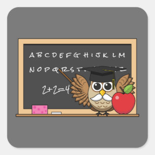 Cute Teacher Owl met Apple Cartoon Vierkante Sticker