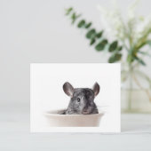 Cute Teacup Chinchilla Gray Briefkaart (Staand voorkant)