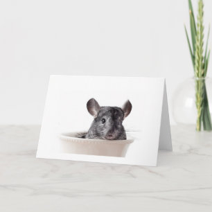 Cute Teacup Chinchilla Gray Kaart