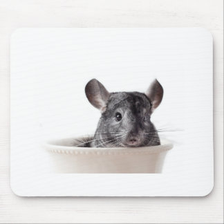 Cute Teacup Chinchilla Gray Muismat