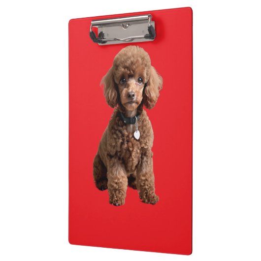 Cute Teacup Poodle Red Folder Klembord (Links)