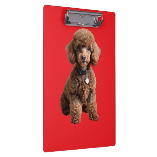  Cute Teacup Poodle Red Folder Klembord (Rechts)