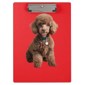  Cute Teacup Poodle Red Folder Klembord (Voorkant)