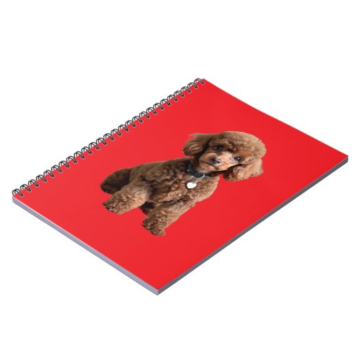  Cute Teacup Poodle Red Folder Notitieboek (Linkerzijde)