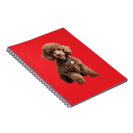 Cute Teacup Poodle Red Folder Notitieboek (Rechterzijde)