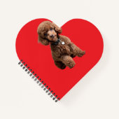  Cute Teacup Poodle Red Folder Notitieboek (Voorkant)