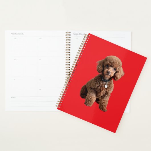 Cute Teacup Poodle Red Folder Planner (Display)
