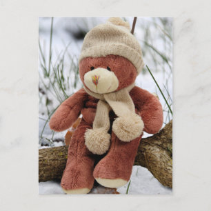 Cute Teddy Bear Briefkaart