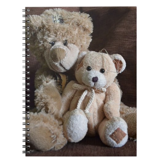 Cute Teddy Bears Notitieboek (Voorkant)