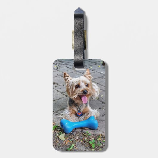 Cute Terrier Bagagelabel (Achterkant verticaal)