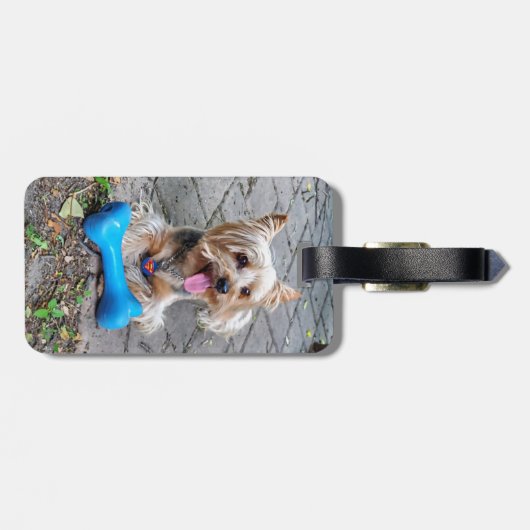 Cute Terrier Bagagelabel (Achterkant horizontaal)