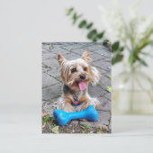 Cute Terrier Briefkaart (Staand voorkant)